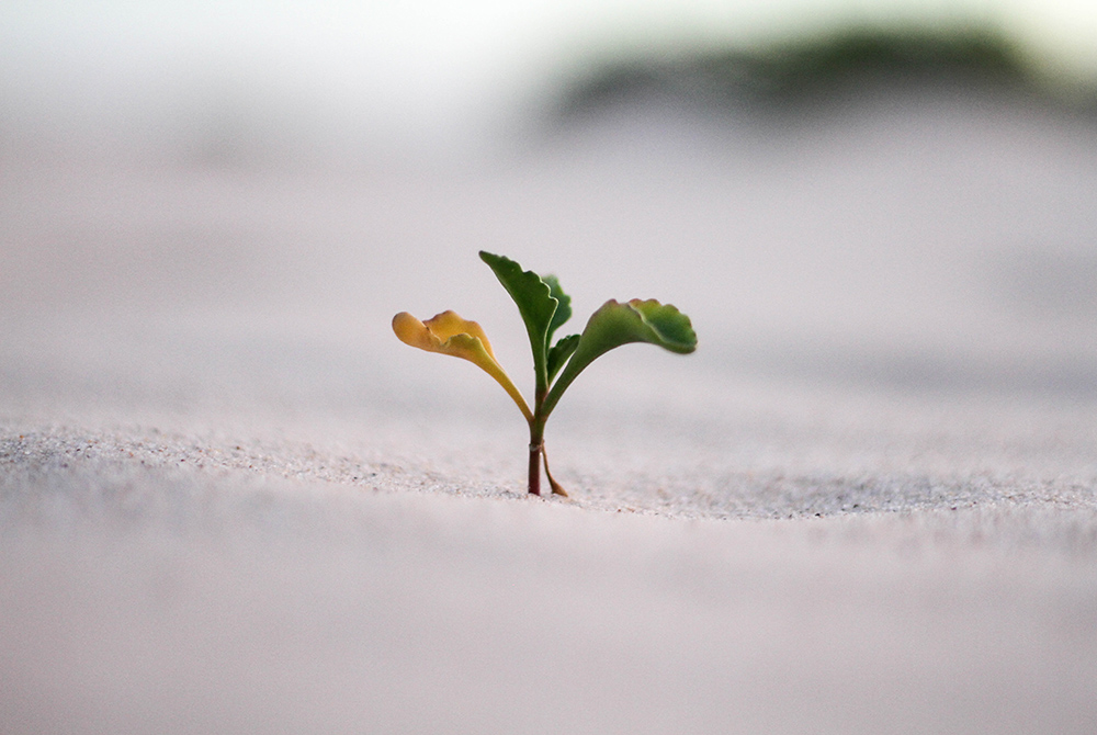 (Unsplash/Jeremy Bishop) (Unsplash/Jeremy Bishop)
